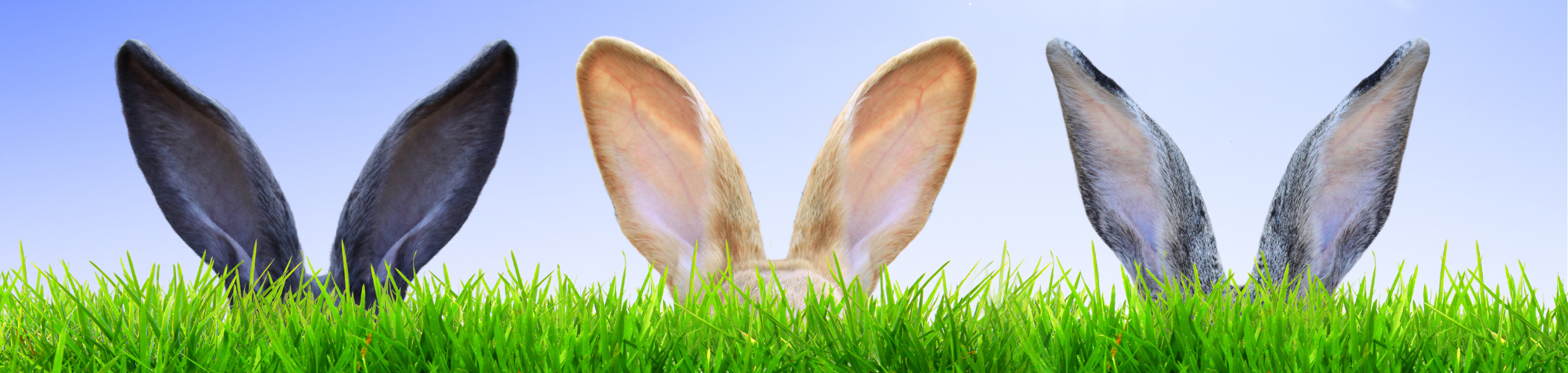 Easter.png