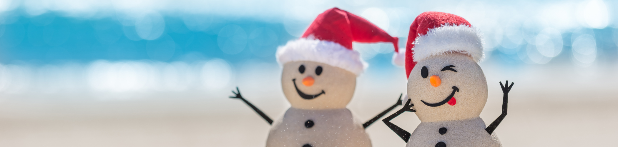 Shoalhaven Xmas SL (1).png