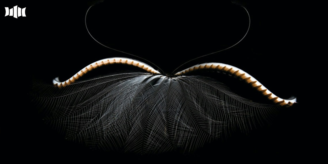 MainImage.jpg